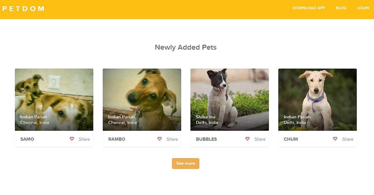 Petdom helps you adopt shelter animals and give them a forever home